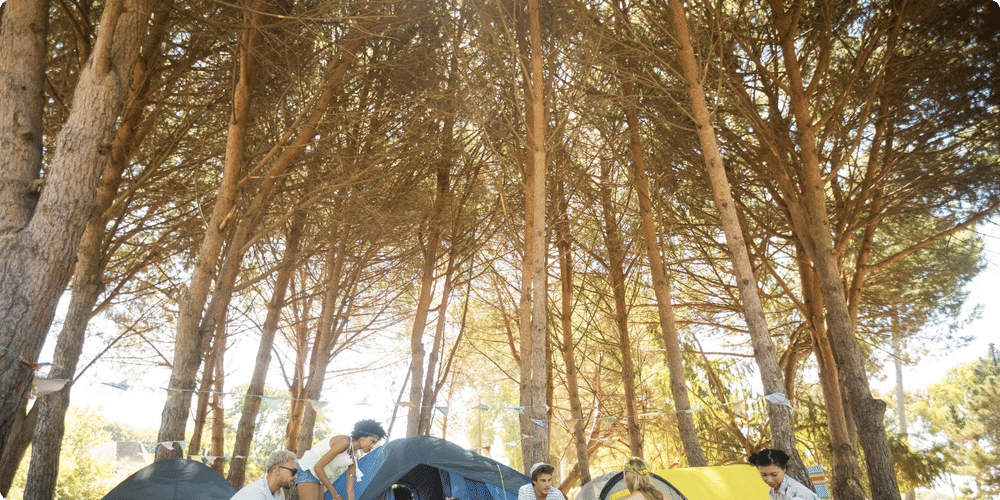 Organiser la vie sur le campement